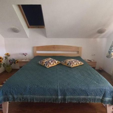Agropensiunea Florina-Maria Branistea  Buitenkant foto