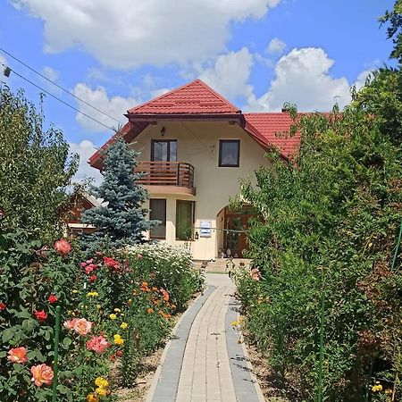 Agropensiunea Florina-Maria Branistea  Buitenkant foto