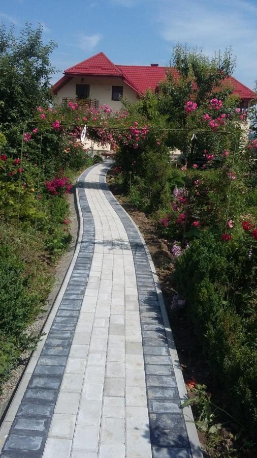 Agropensiunea Florina-Maria Branistea  Buitenkant foto