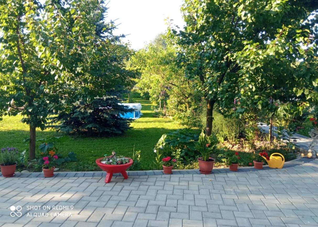 Agropensiunea Florina-Maria Branistea  Buitenkant foto