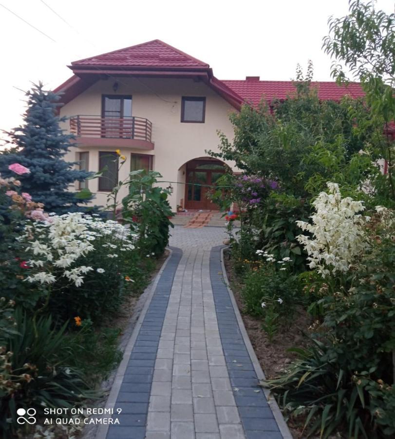 Agropensiunea Florina-Maria Branistea  Buitenkant foto