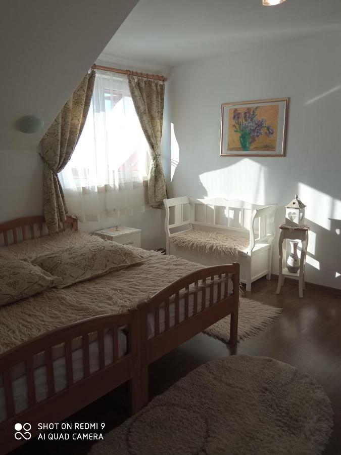 Agropensiunea Florina-Maria Branistea  Buitenkant foto