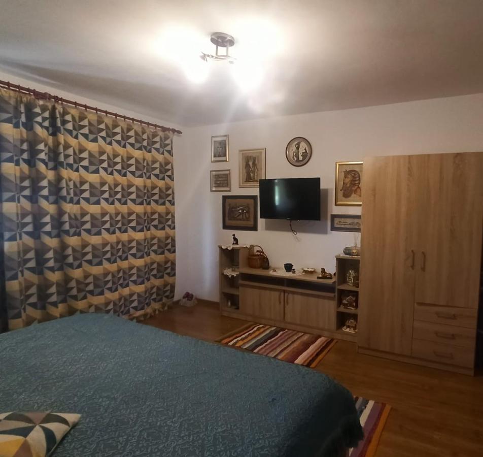 Agropensiunea Florina-Maria Branistea  Buitenkant foto