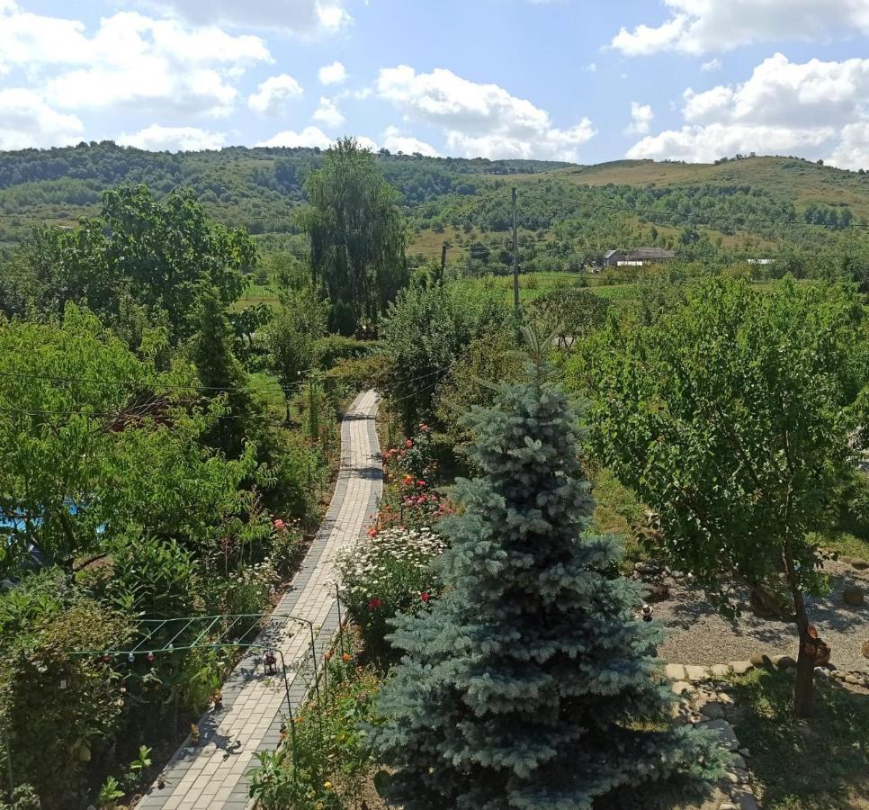 Agropensiunea Florina-Maria Branistea  Buitenkant foto