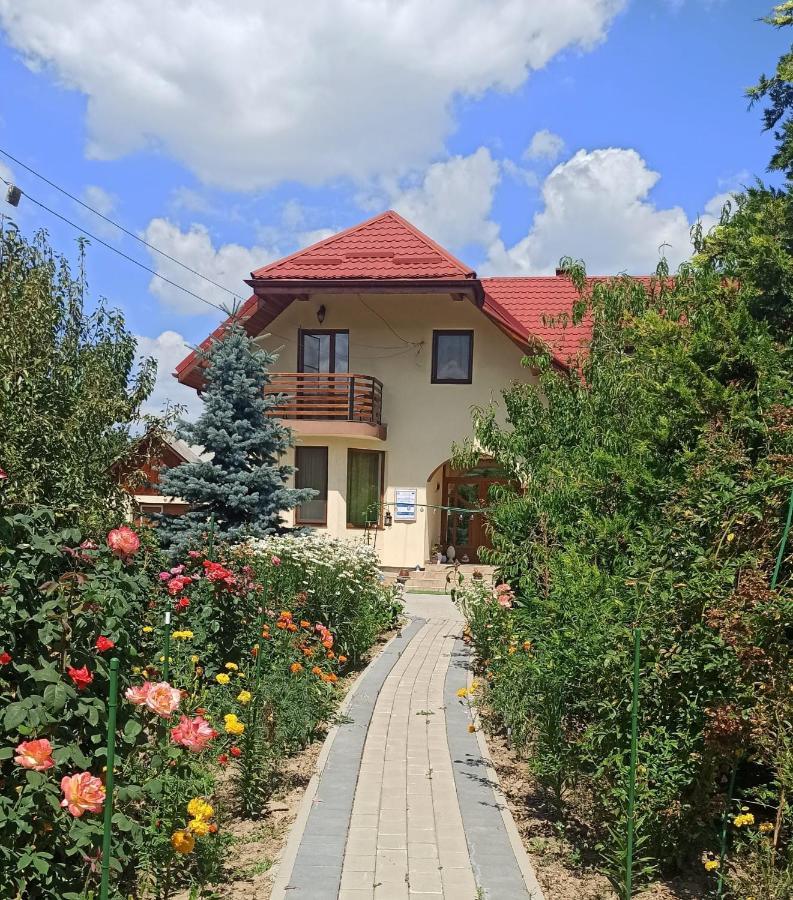 Agropensiunea Florina-Maria Branistea  Buitenkant foto