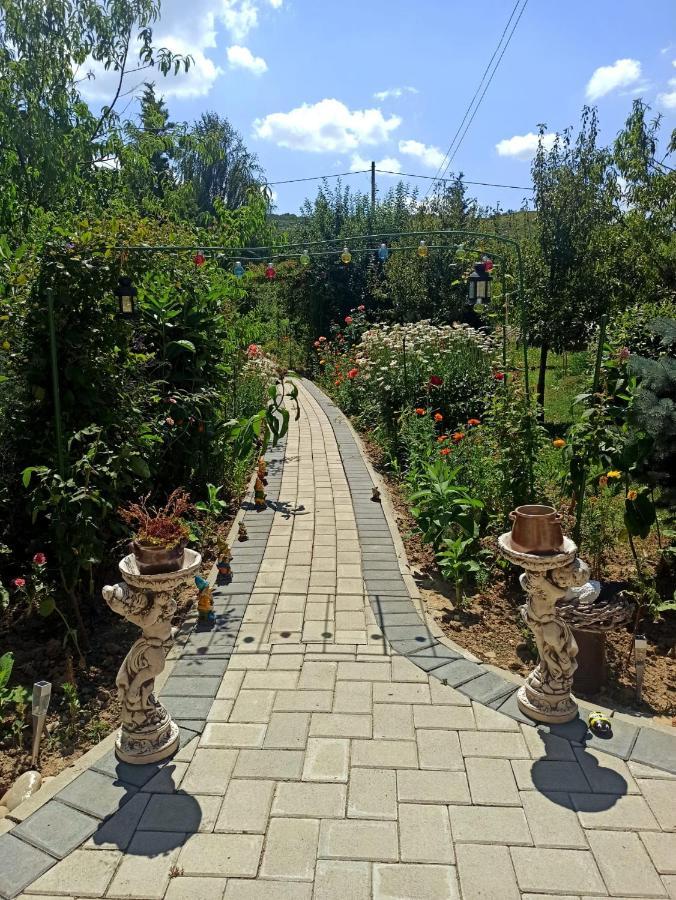 Agropensiunea Florina-Maria Branistea  Buitenkant foto